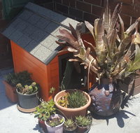 Orange Grove Hotel - Accommodation Newcastle