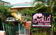 Orchid Guest House - thumb 0