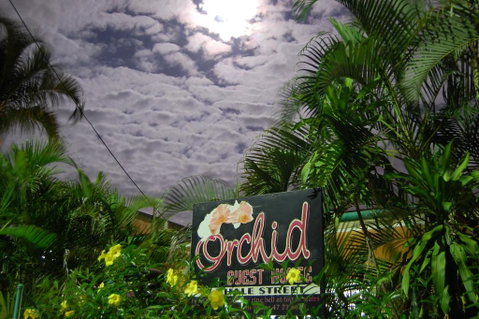 Orchid Guest House - Accommodation Newcastle 1