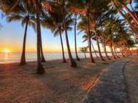 Palm Cove Beach Retreat