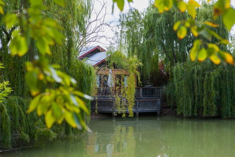 Perricoota Vines Retreat - Accommodation Newcastle 0
