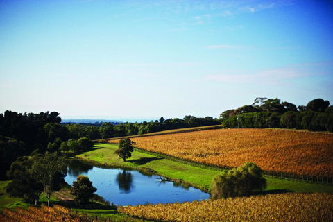 Port Phillip Estate - Accommodation Newcastle 2