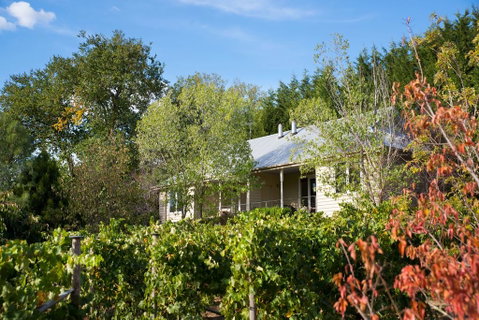 Provence Spa Villa 2 - Accommodation Newcastle 2