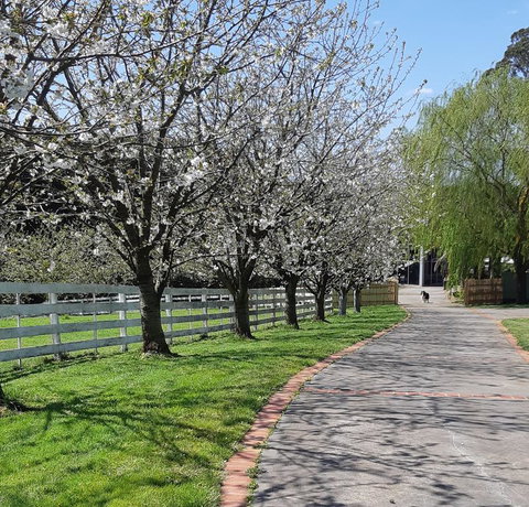 Ray's Farm - Accommodation Newcastle 1