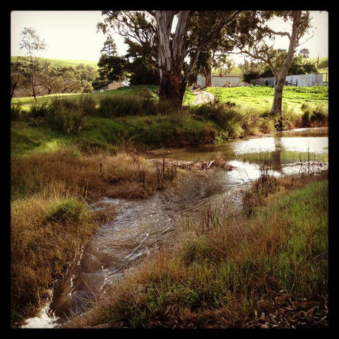 River Cottage Barossa -Self Contained-30 Acres-360 Degree Views-Netflix -Wine-Wifi - Accommodation Newcastle 3