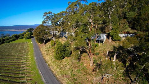 River Vineyard Retreat - Accommodation Newcastle 1