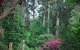 Rocky Creek Art Garden B&B - thumb 2