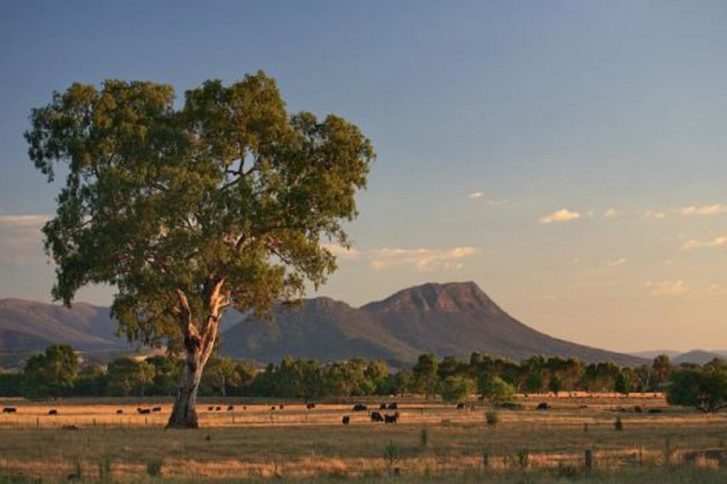 Rubicon ACT Accommodation Newcastle