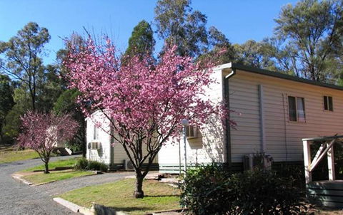 Sandy Hollow Tourist Park - Accommodation Newcastle 3