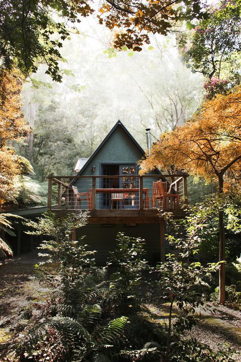 Santosa Cottage Sassafras - Accommodation Newcastle 3