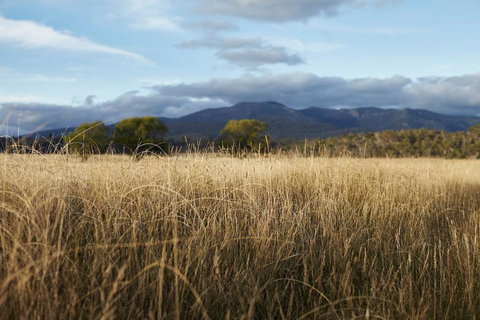 Second Flat Retreat - Accommodation Newcastle 2