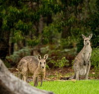 Secura Lifestyle Countryside Kalaru - Accommodation Newcastle