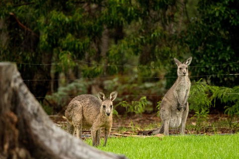 Secura Lifestyle Countryside Kalaru - Accommodation Newcastle 0