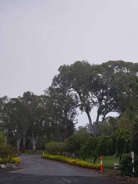 Seymour Motel - Accommodation Newcastle 3