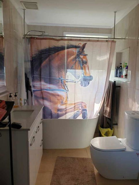 Silverbirch Cottage - Accommodation Newcastle 3