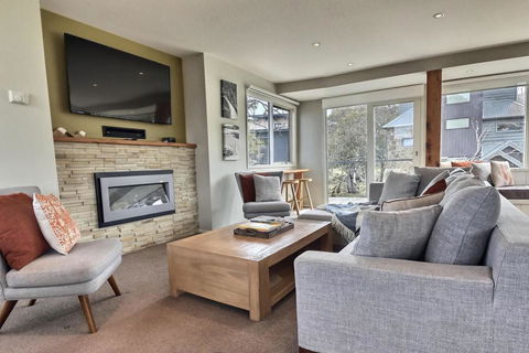 Ski Bird - Accommodation Newcastle 0