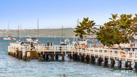 Skylark Executive Apartment over Mosman
