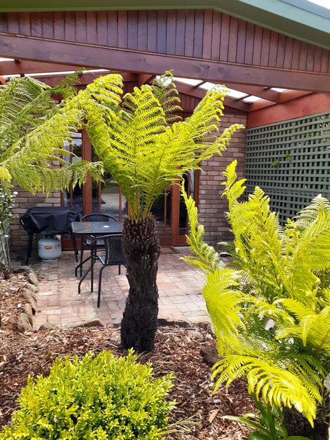 Sleepy Hollow Hideout (Hidout 2) - Accommodation Newcastle 1