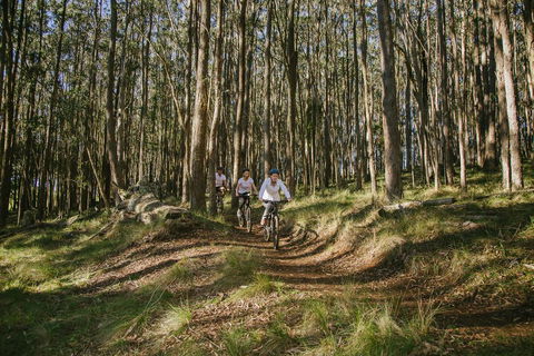 Spicers Peak Lodge - Accommodation Newcastle 3
