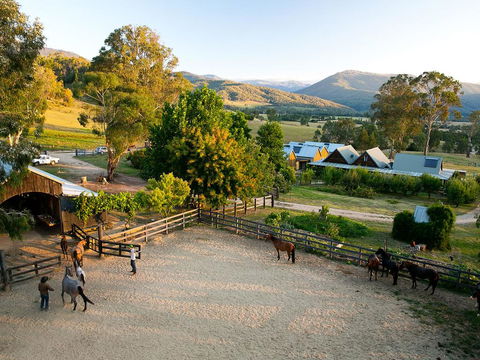 Spring Spur - Accommodation Newcastle 3