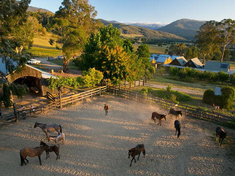 Spring Spur - Accommodation Newcastle 0