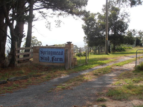 Springmead B&B - Accommodation Newcastle 2