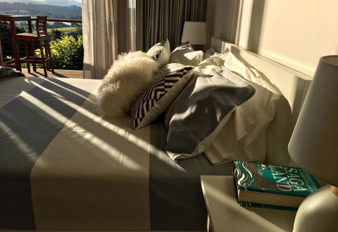 Studio With Stunning Mountain Views - Accommodation Newcastle 2