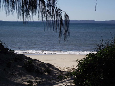 Stunning Surfside Apartment - Boyd St, Woorim - Accommodation Newcastle 1