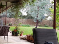Sue's Sanctuary