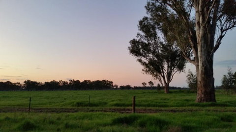 Sunset Villas Cobram - Accommodation Newcastle 3