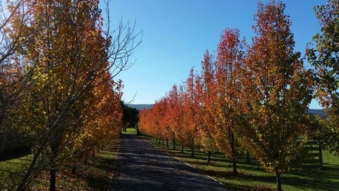 Tamar Valley Farm Stay - Accommodation Newcastle 3
