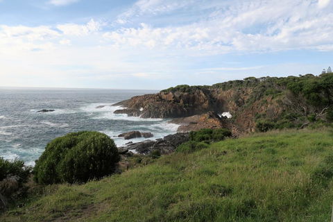 Tathra Hotel & Motel - Accommodation Newcastle 1