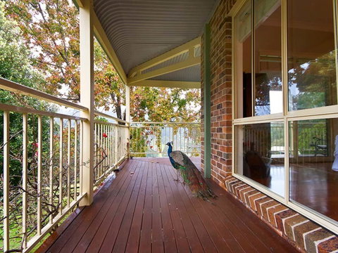 The Acreage Luxury B&B And Guesthouse - Accommodation Newcastle 1