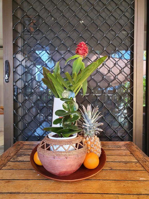 The Balinese - Accommodation Newcastle 2