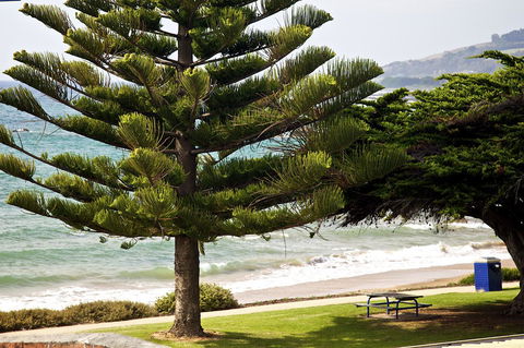 Penguin Beachfront Apartments - Accommodation Newcastle 9