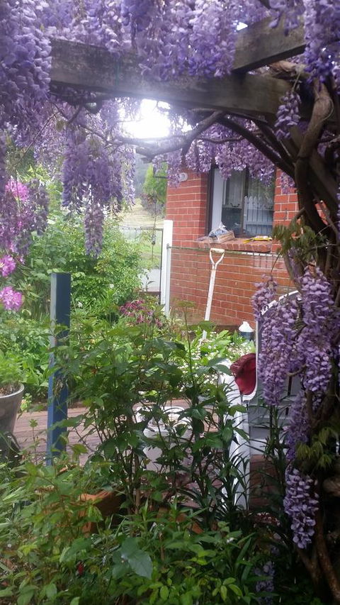 Birch Lane - Accommodation Newcastle 41