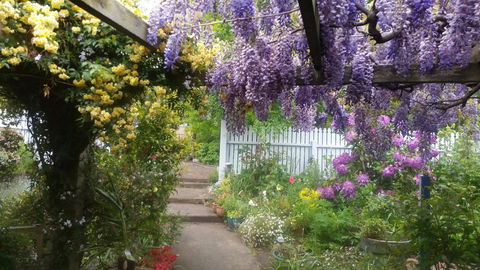 Birch Lane - Accommodation Newcastle 20