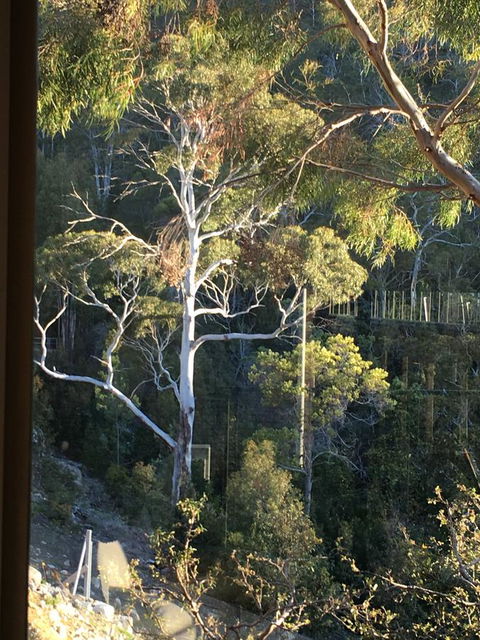 The Lookout - Accommodation Newcastle 22