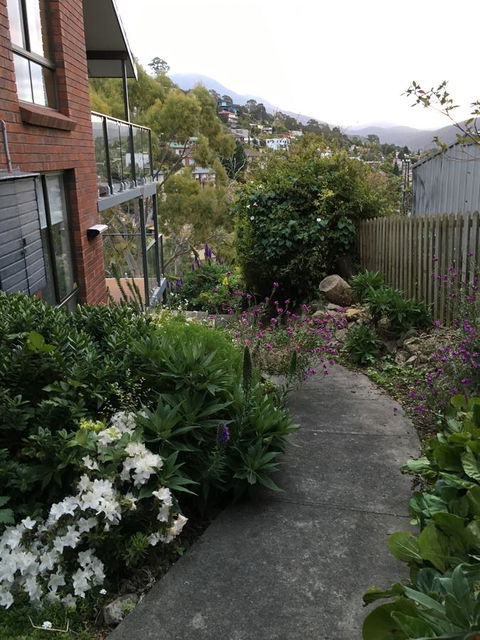 The Lookout - Accommodation Newcastle 23