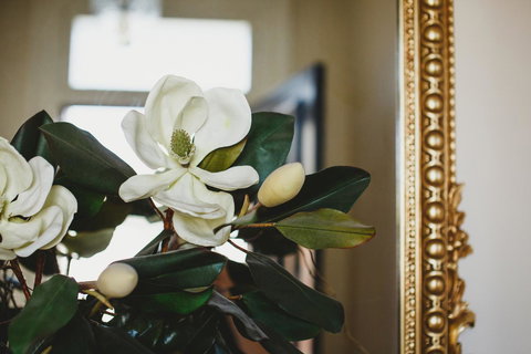 Grand Old Duke - Accommodation Newcastle 21