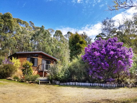 Southern Forest Accommodation - Accommodation Newcastle 10