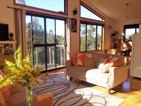 Southern Forest Accommodation - Accommodation Newcastle 3