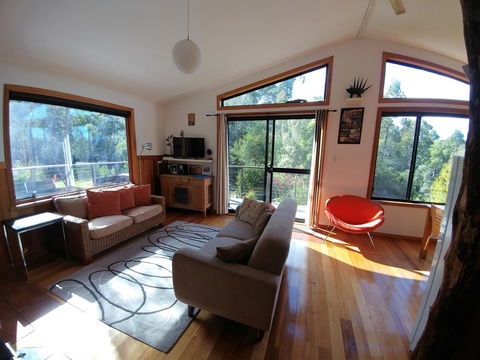 Southern Forest Accommodation - Accommodation Newcastle 5