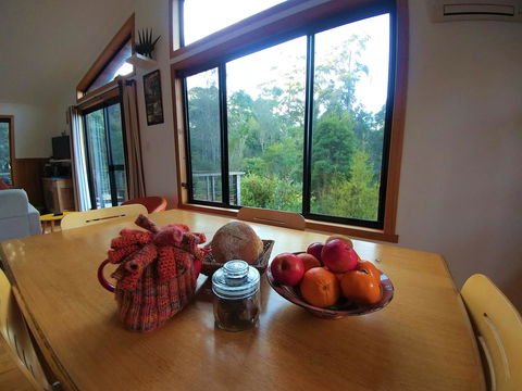 Southern Forest Accommodation - Accommodation Newcastle 11