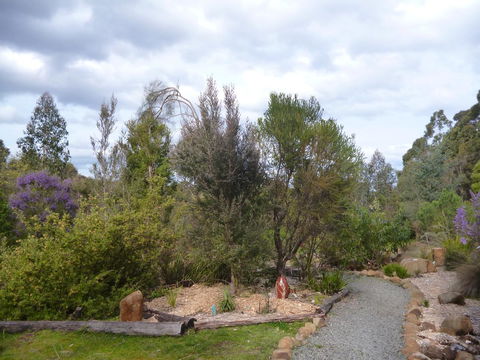 Southern Forest Accommodation - Accommodation Newcastle 23