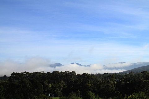 BIG.SHED.HOUSE - Accommodation Newcastle 11