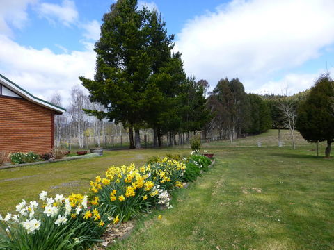 Quamby Pines Chalet - Accommodation Newcastle 23