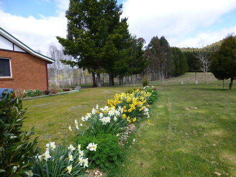 Quamby Pines Chalet - Accommodation Newcastle 19