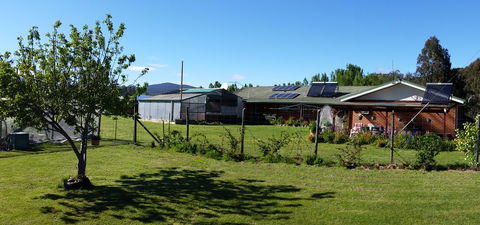 Quamby Pines Chalet - Accommodation Newcastle 1
