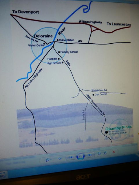 Quamby Pines Chalet - Accommodation Newcastle 30